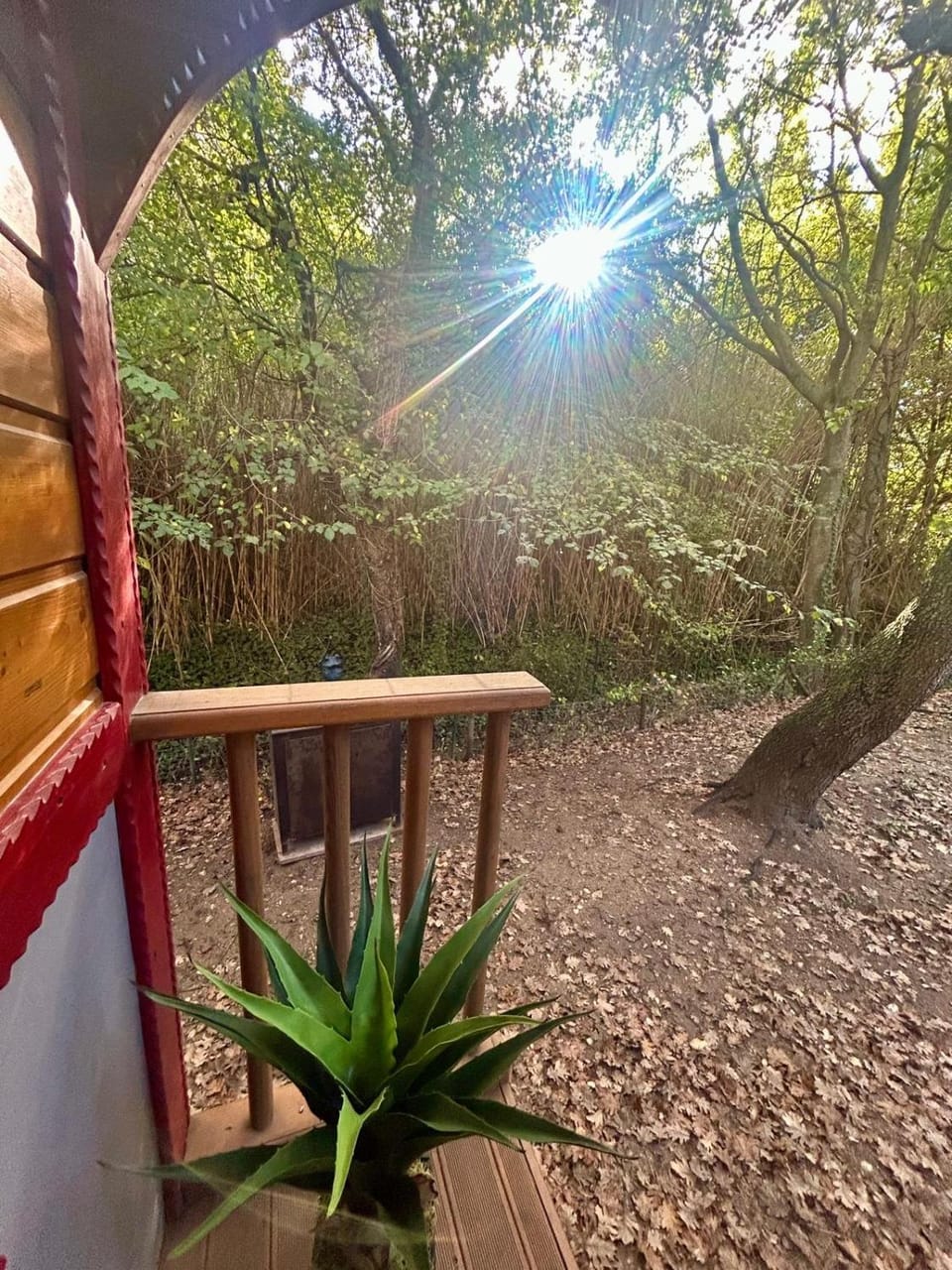 La roulotte du petit paradis Luxury tent in Saint-Remy-de-Provence