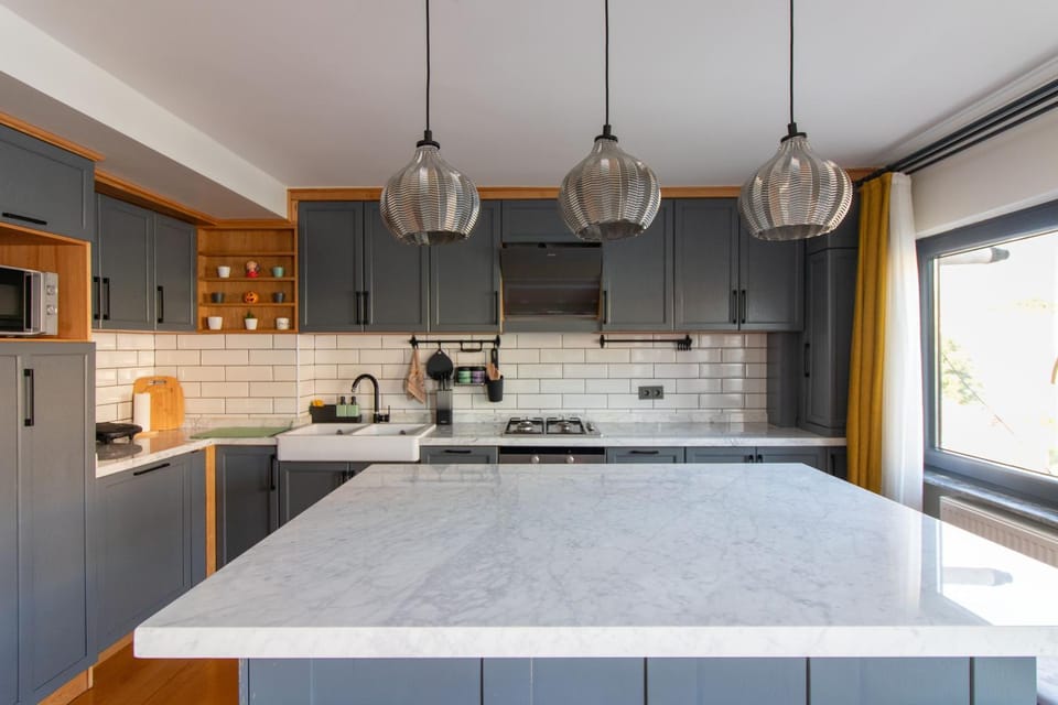 Kitchen or kitchenette, dishwasher, stove
