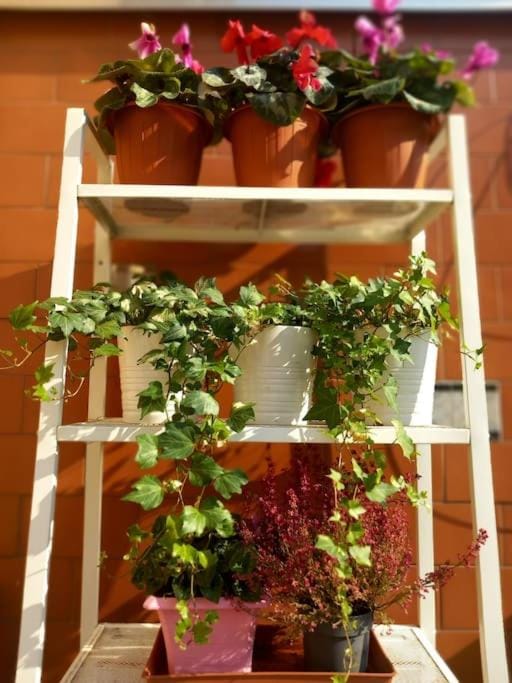Balcony/Terrace, Decorative detail
