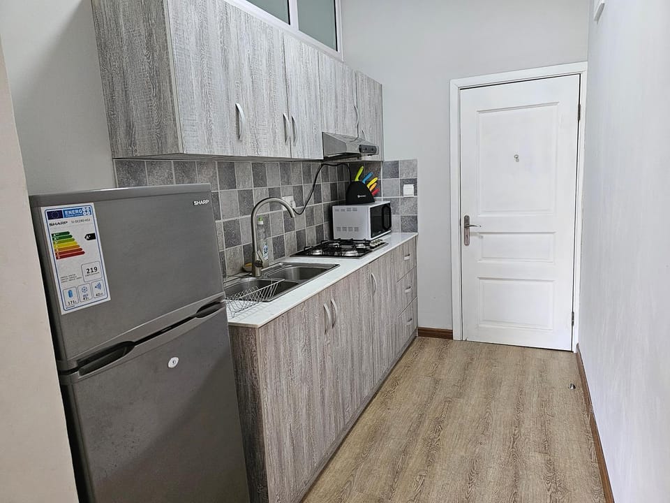 Kitchen or kitchenette, minibar, stove
