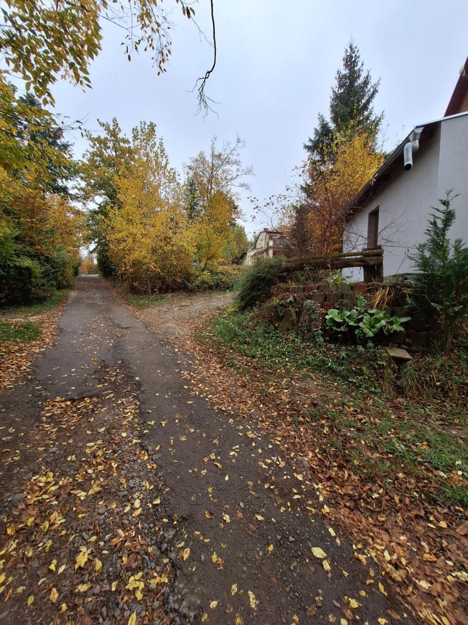 Neighbourhood, Street view