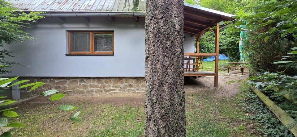Property building, Patio, Natural landscape