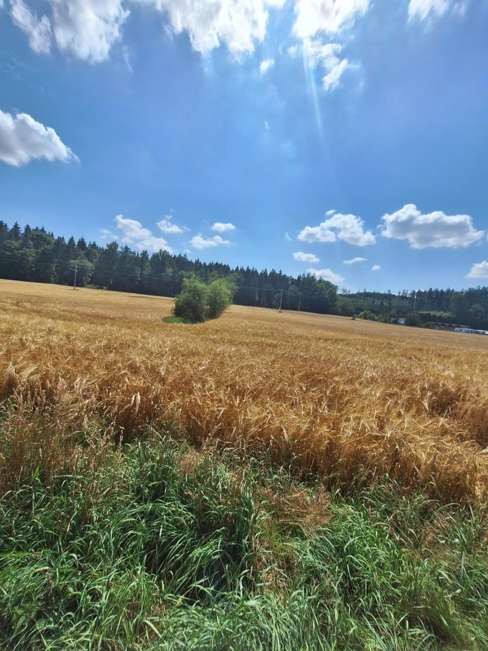 Natural landscape