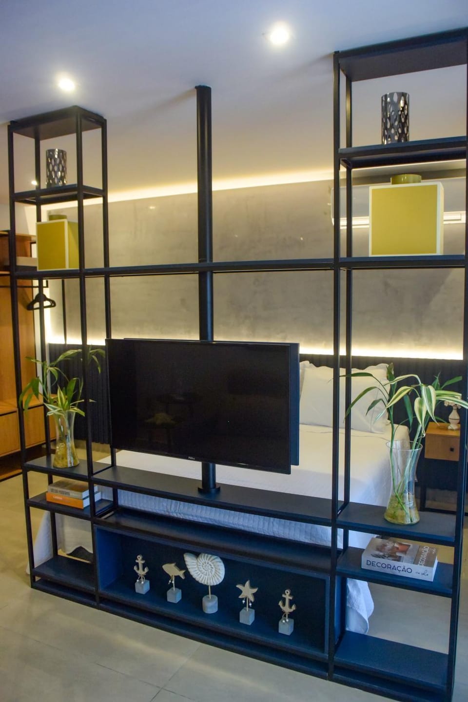 TV and multimedia