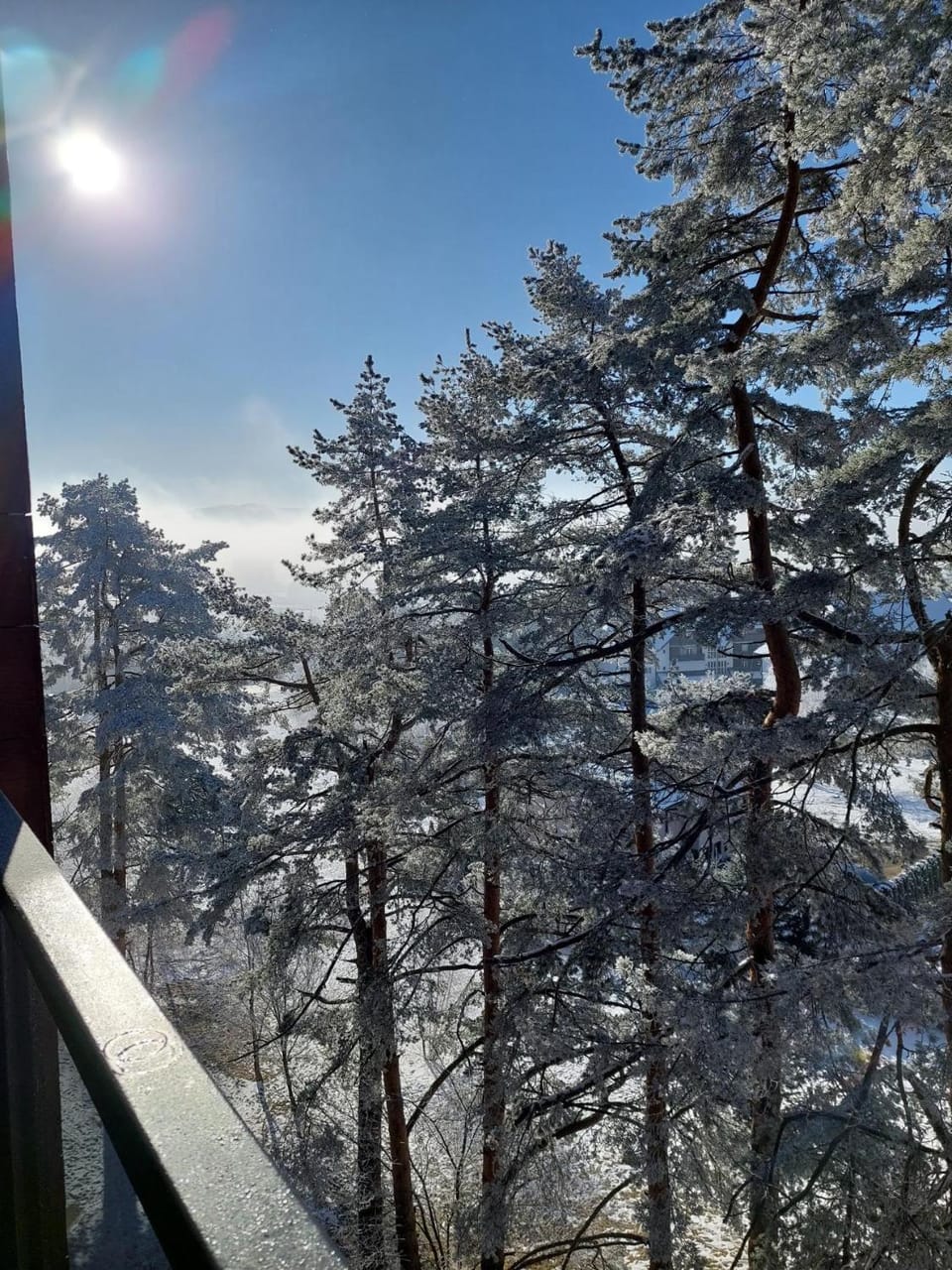 View (from property/room)