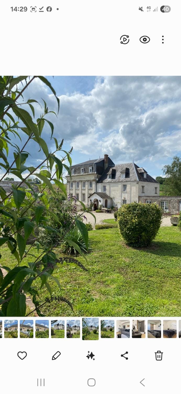 Property building, Garden view