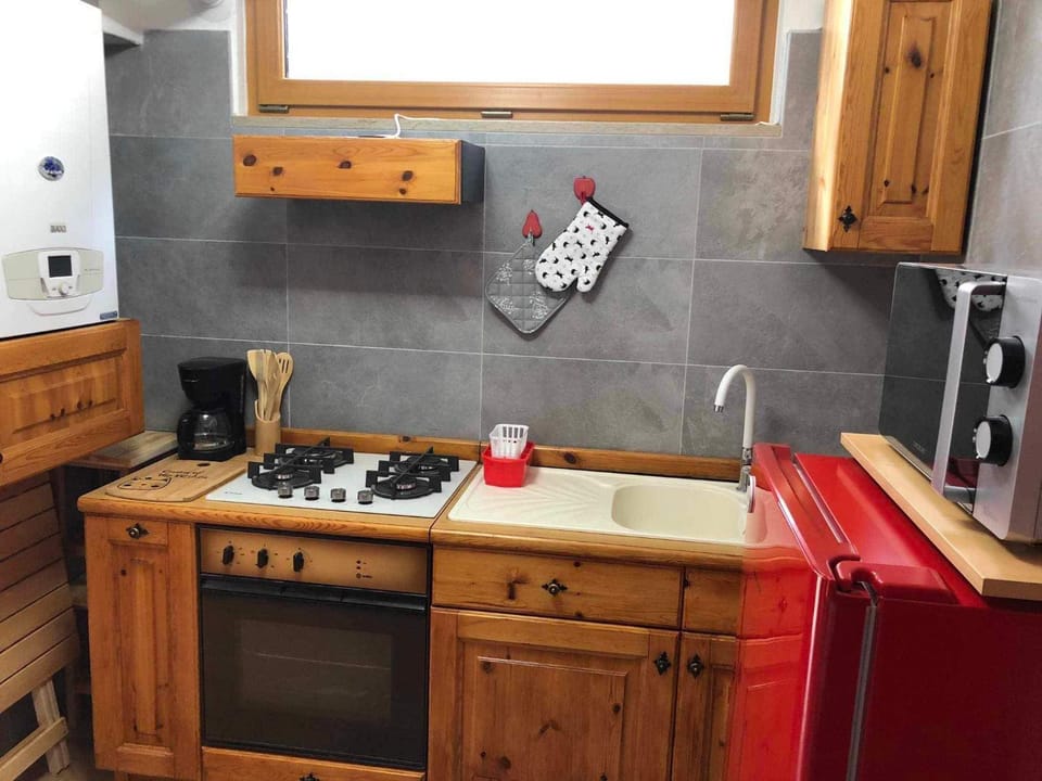 Coffee/tea facilities, Kitchen or kitchenette, minibar, pet friendly, stove, kitchen