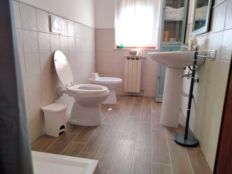Shower, Toilet, Bathroom, bidet