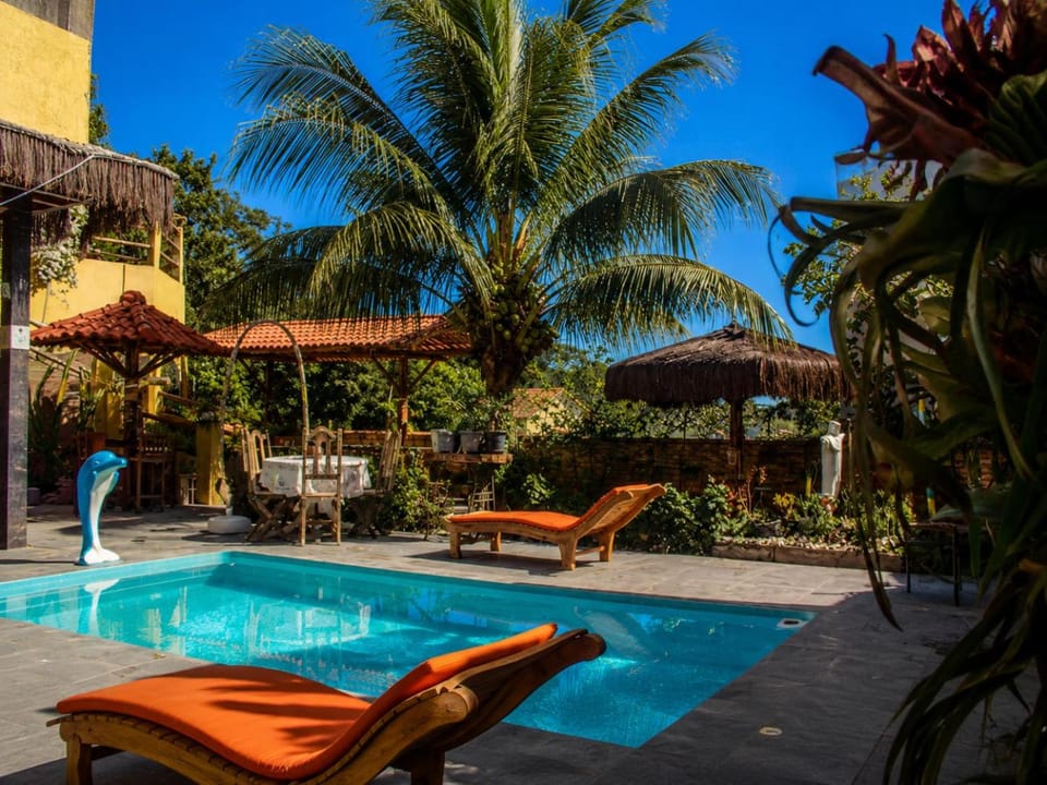 Garden, Garden view, Pool view, sunbed