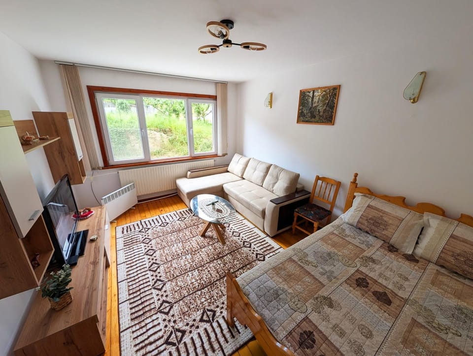 Communal lounge/ TV room, Bed, Library, TV and multimedia, Living room, Photo of the whole room, Seating area, Evening entertainment, Bedroom, Mountain view, Inner courtyard view, heating