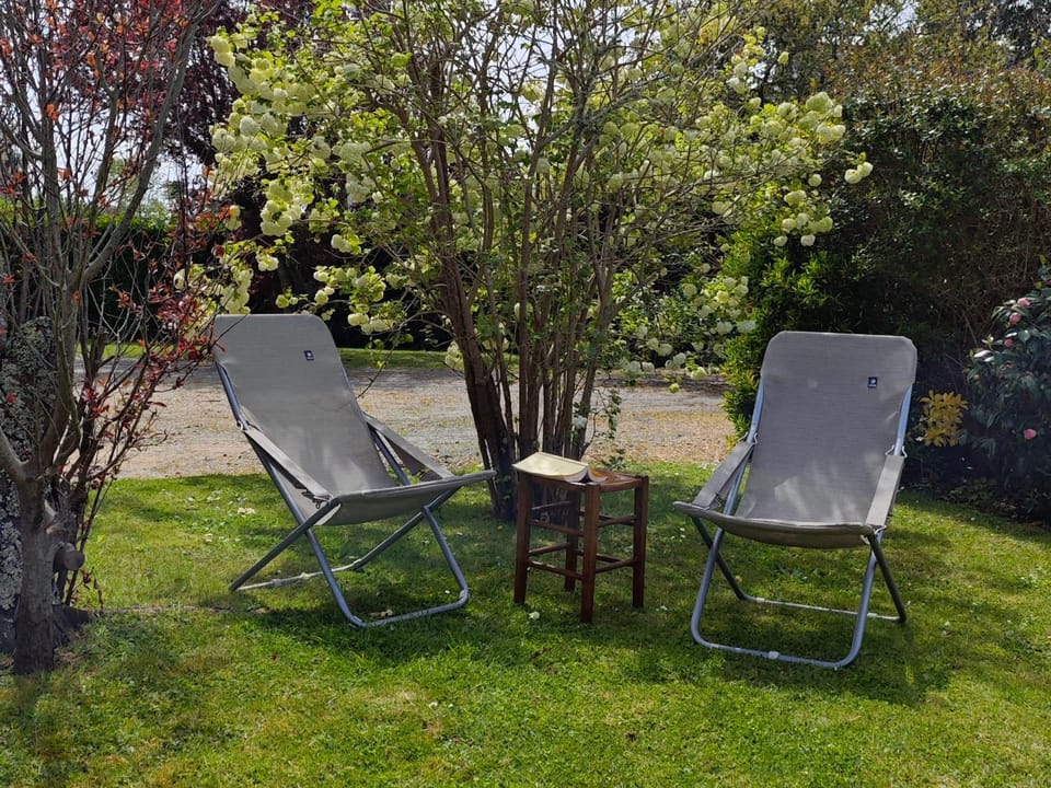 Spring, Day, Garden, Garden, Garden view, sunbed