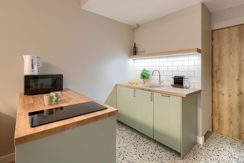 Kitchen or kitchenette, minibar, stove, kitchen