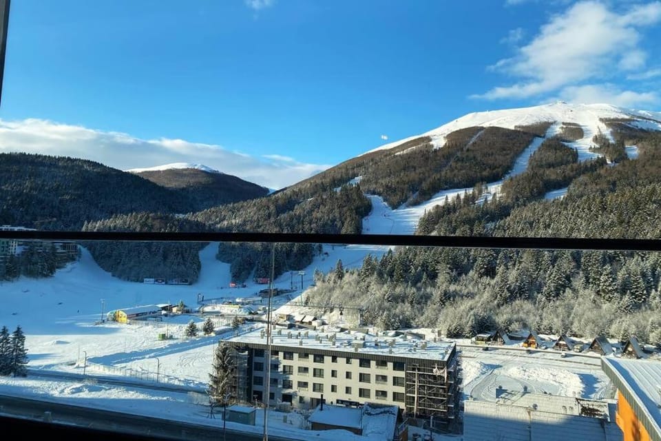 Winter, Mountain view