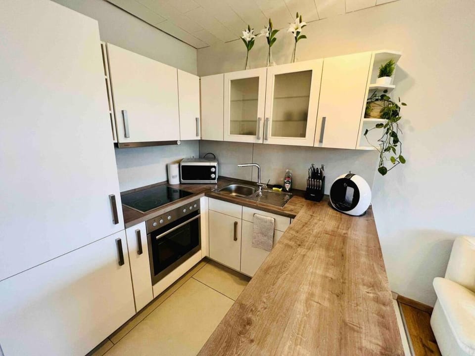 Kitchen or kitchenette, dishwasher, minibar, pet friendly, stove