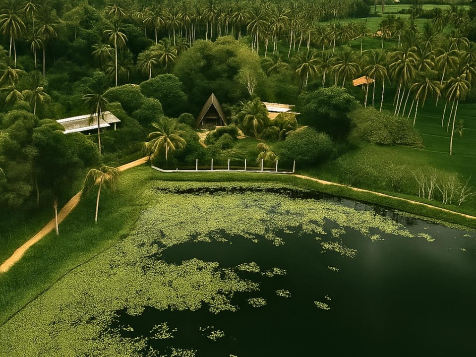 Garden, View (from property/room), Lake view, Location
