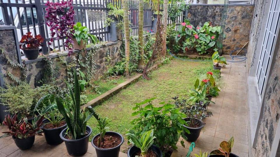 Patio, Facade/entrance, Spring, Day, Garden, View (from property/room), Balcony/Terrace, Garden view