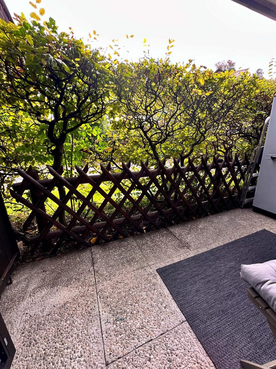 Balcony/Terrace, Balcony/Terrace