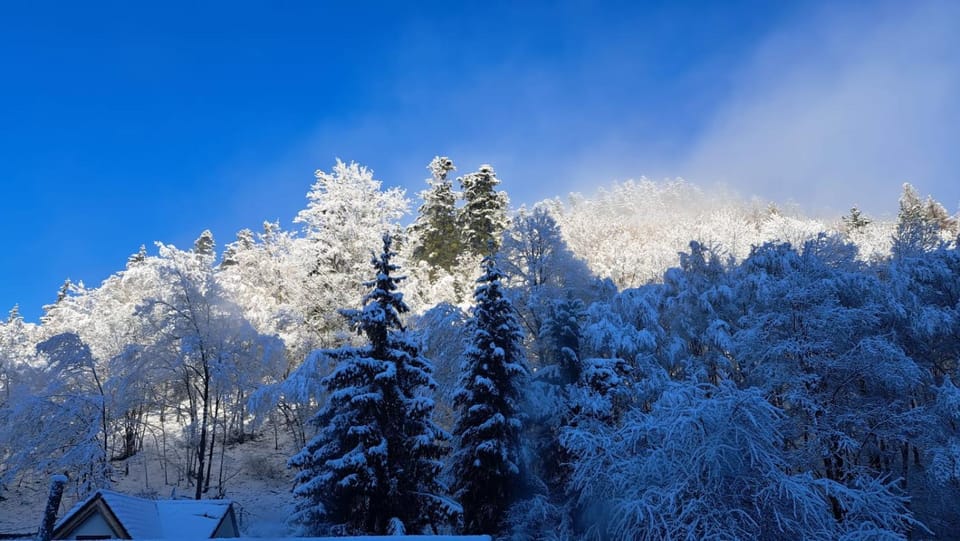 Natural landscape, Winter, Mountain view