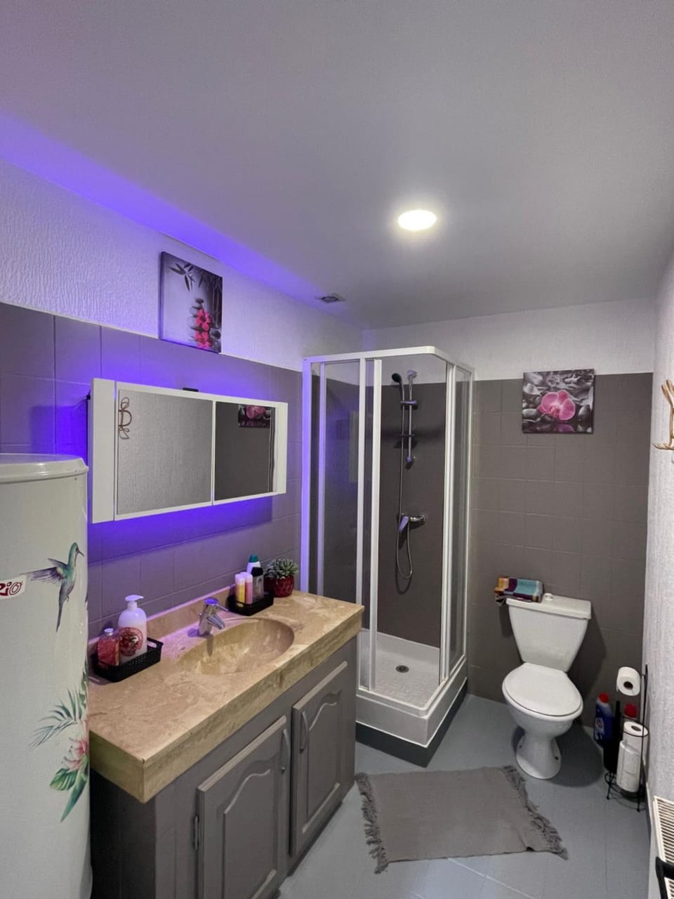 Le Mustang Internet Fibre Netflix Apartment in Bourgogne-Franche-Comté