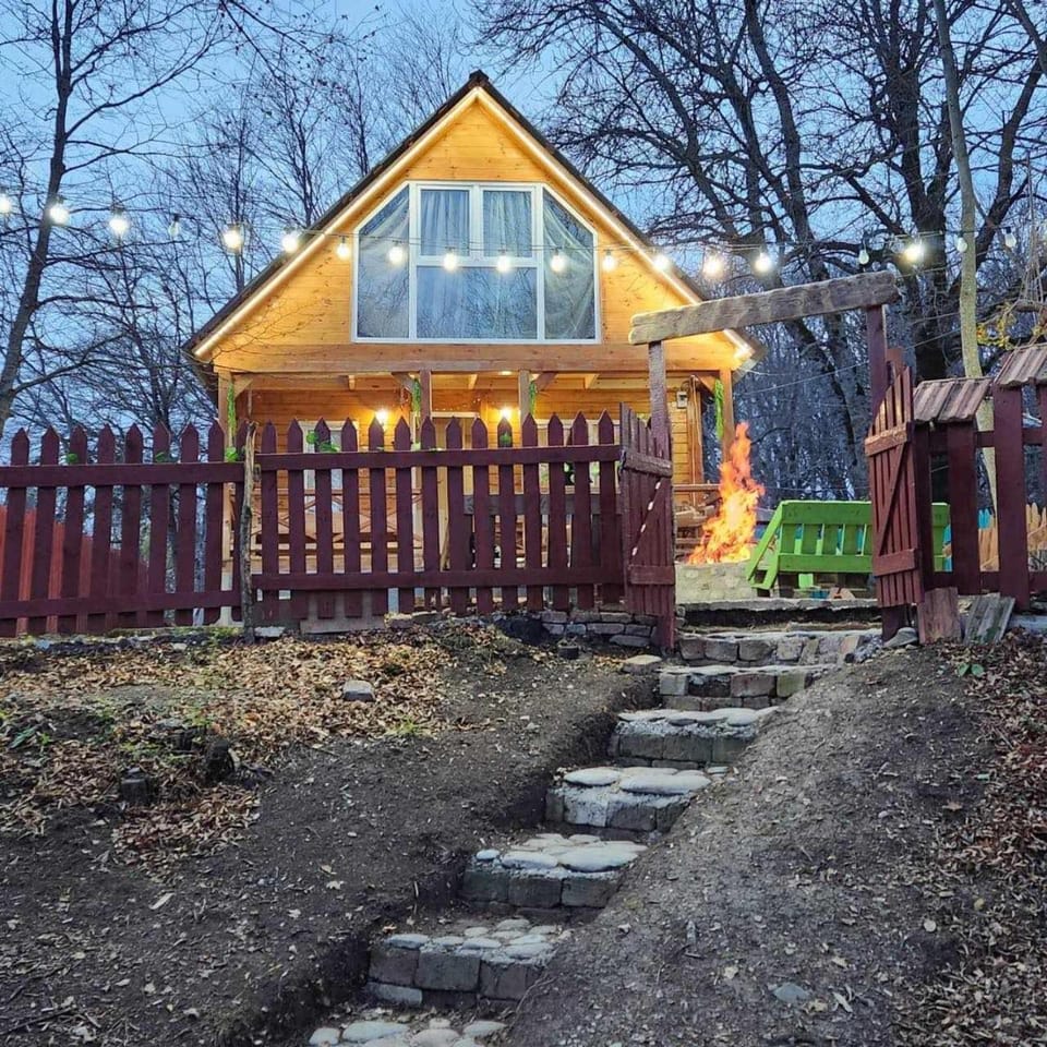 Wooden House Kopiti Apartment in Georgia