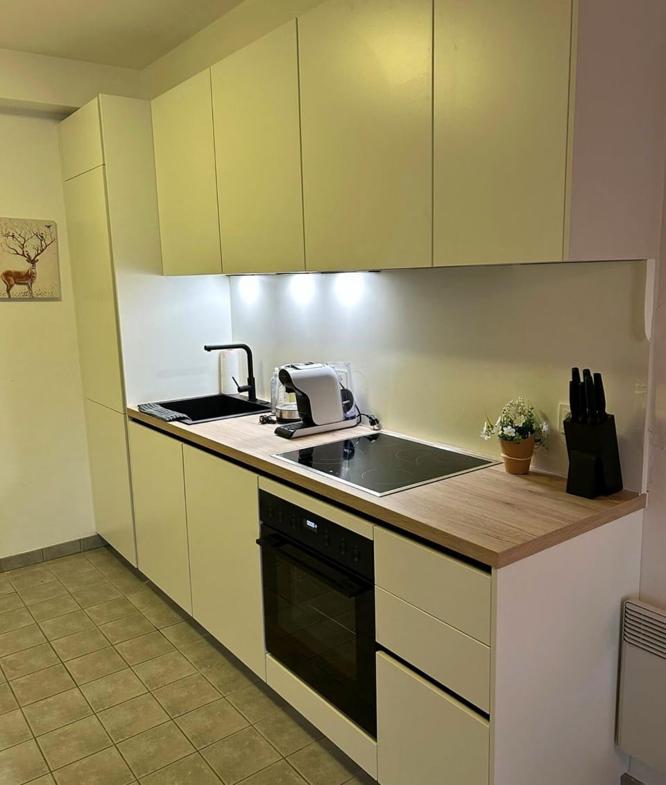 Coffee/tea facilities, Kitchen or kitchenette, dishwasher, stove, kitchen, kitchen