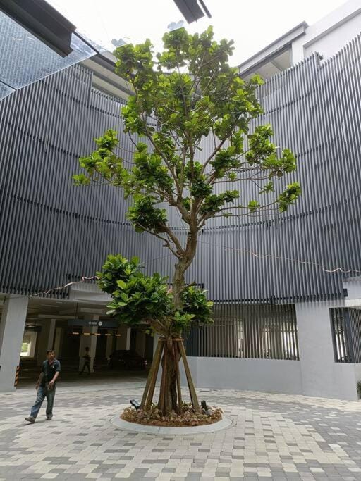 Cozy Sky Trees with Balcony, Smart TV , Aeon & Pool Apartment in Johor Bahru