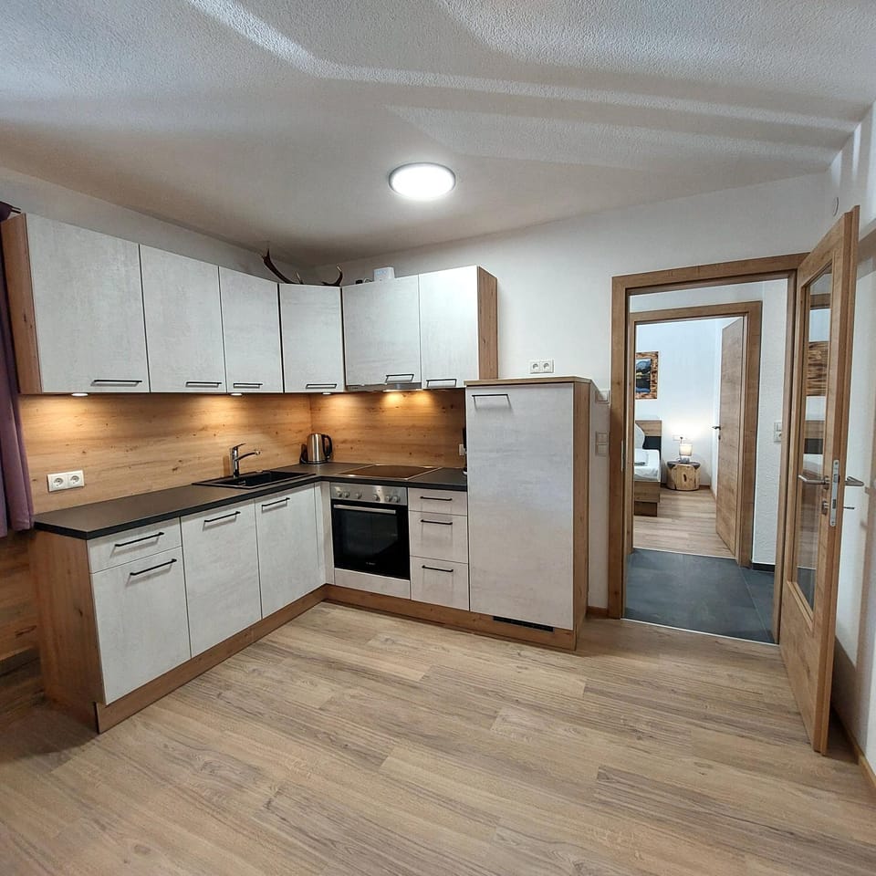 Kitchen or kitchenette, kitchen