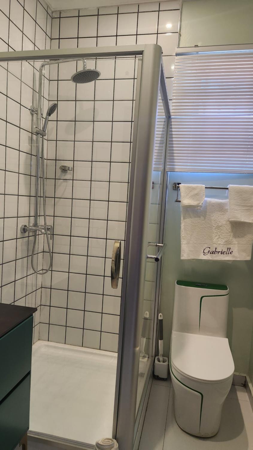 Shower, Toilet, Bathroom, towels