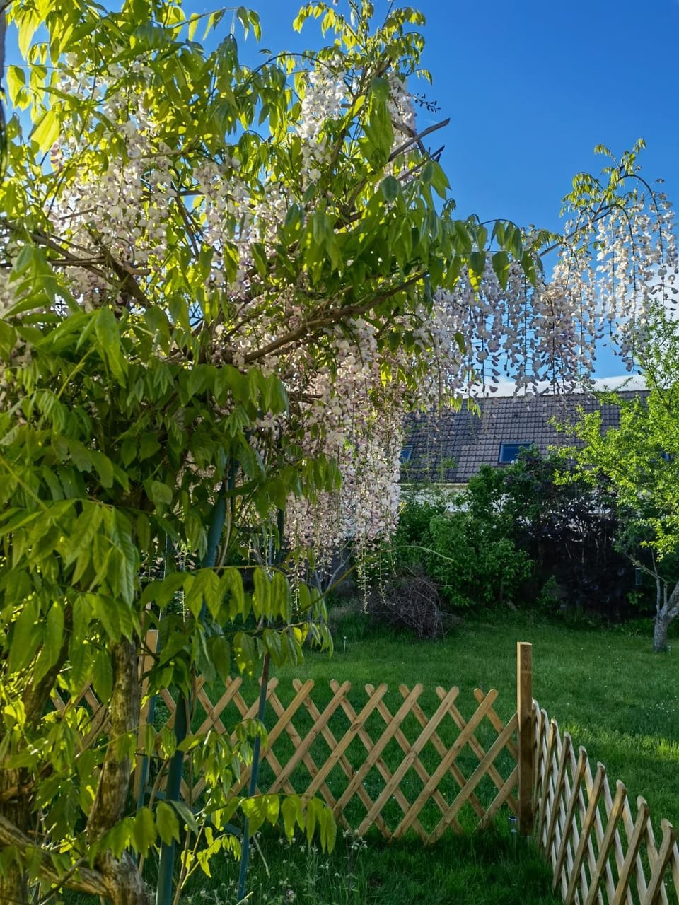 Spring, Garden, Balcony/Terrace, Garden view