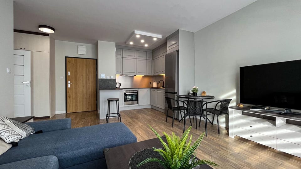 TV and multimedia, Kitchen or kitchenette, Living room, Seating area, Dining area, stove