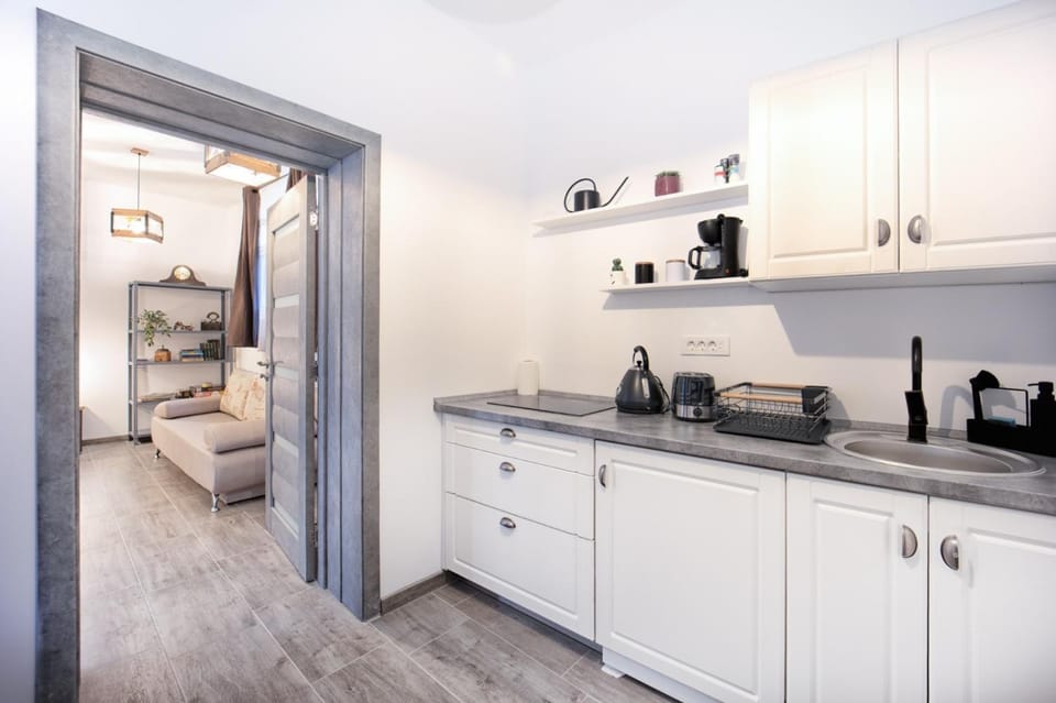 Coffee/tea facilities, Kitchen or kitchenette, minibar, stove, kitchen