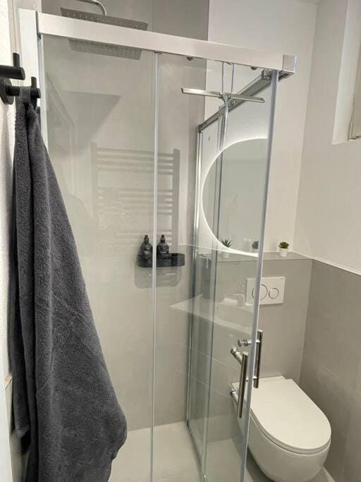 Shower, Toilet, Bathroom, towels