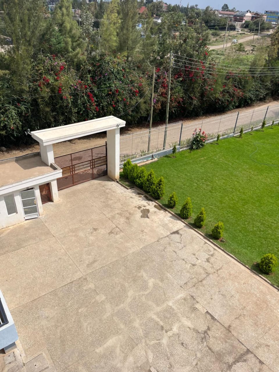 Natural landscape, Garden, Garden view