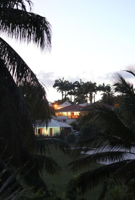 Garden view