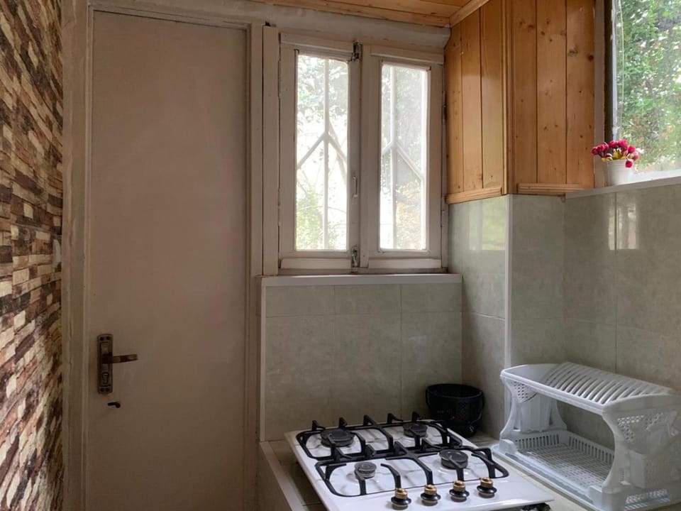 Eka's home with a beautiful garden Apartment in Tbilisi, Georgia