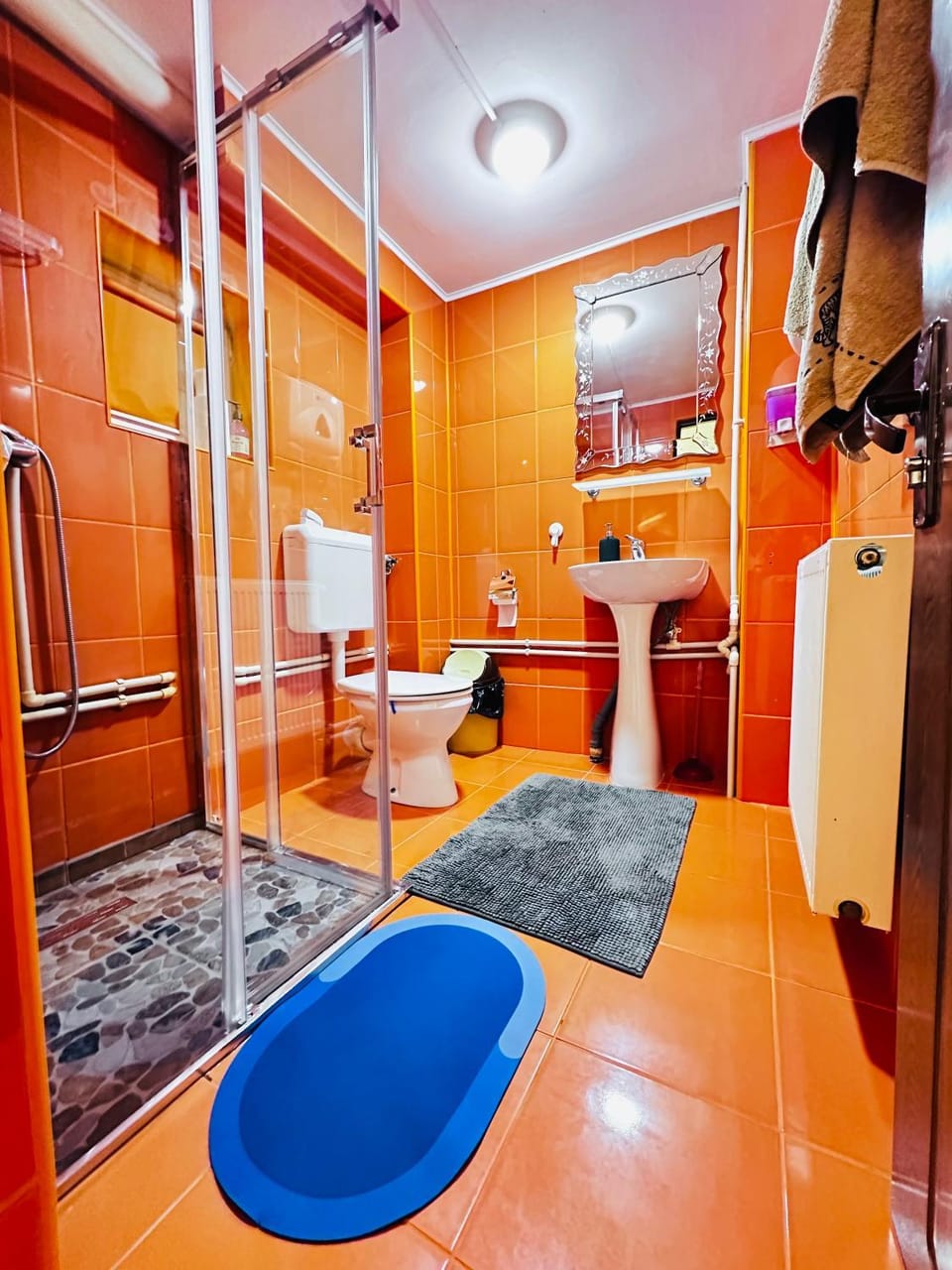 Cabana Harghita Băi House in Romania