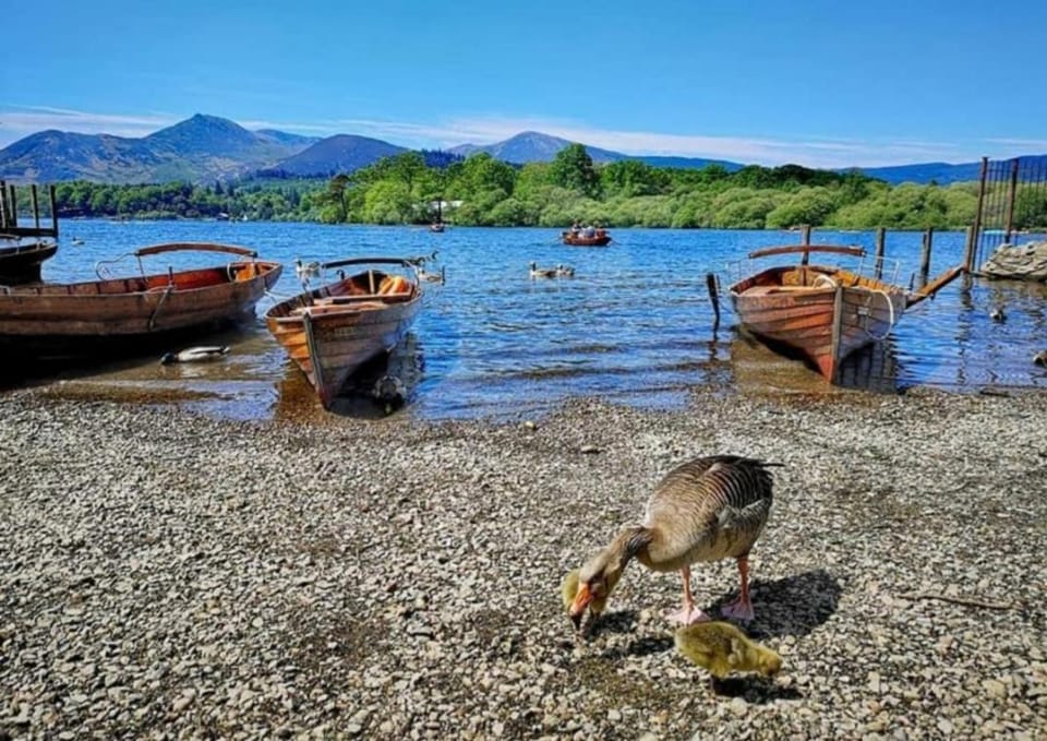 Natural landscape, Lake view, Mountain view