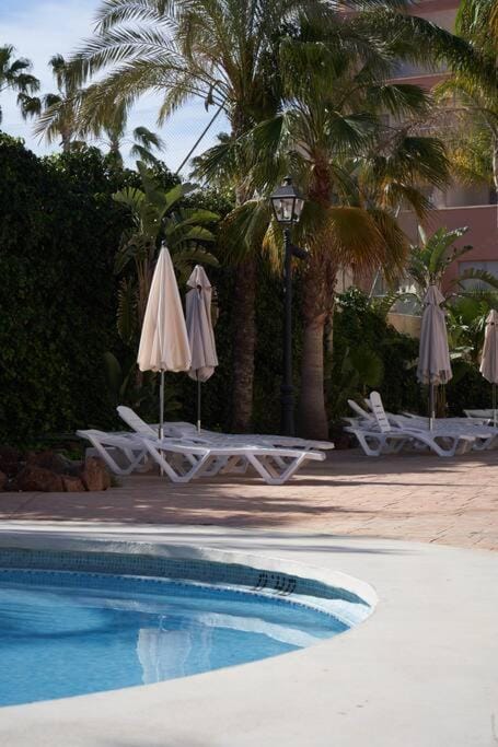 Swimming pool, sunbed