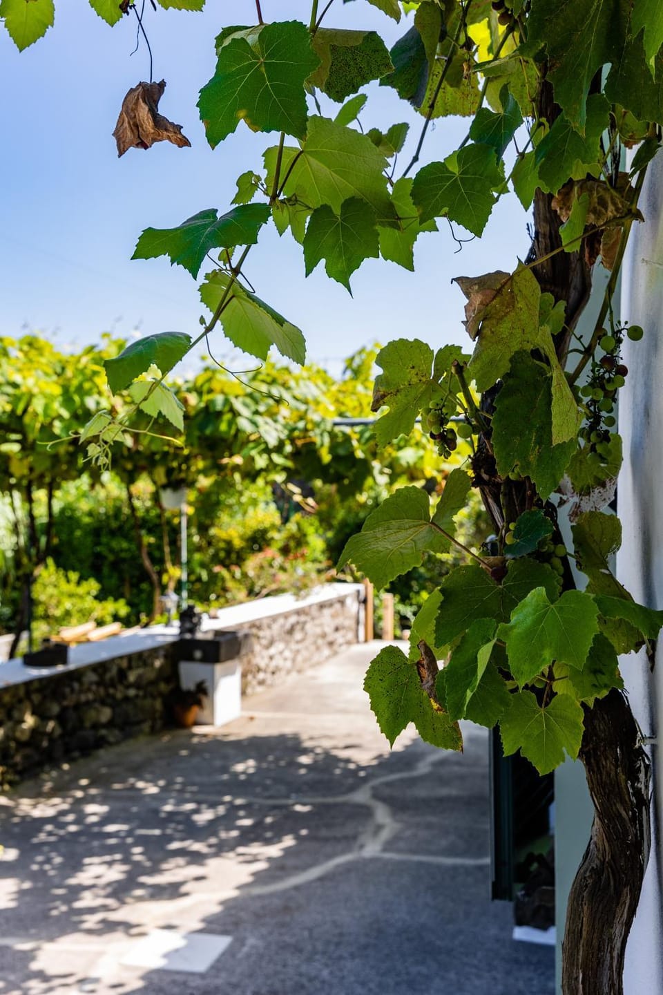 O Refúgio House in Azores District