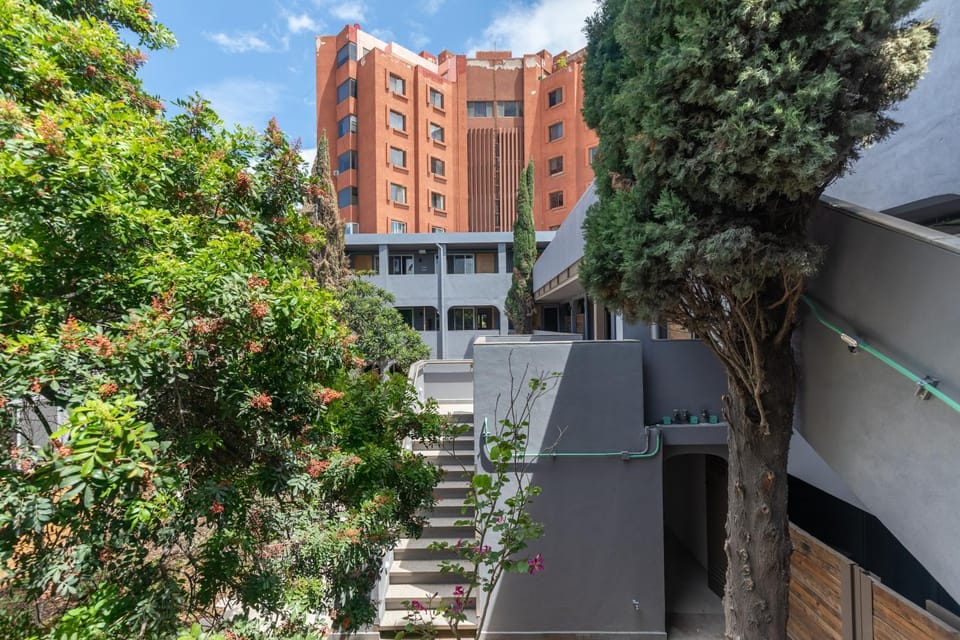 Property building, Garden view