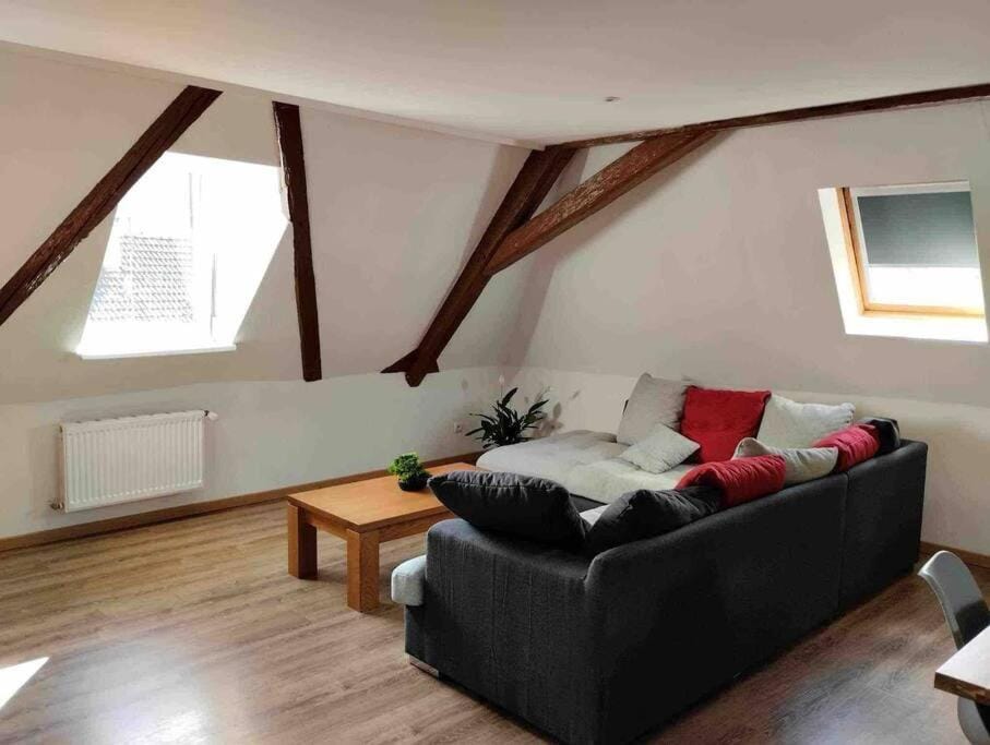 David Apartment in Vosges