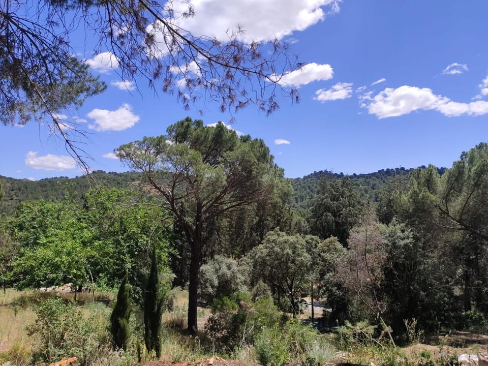 Natural landscape