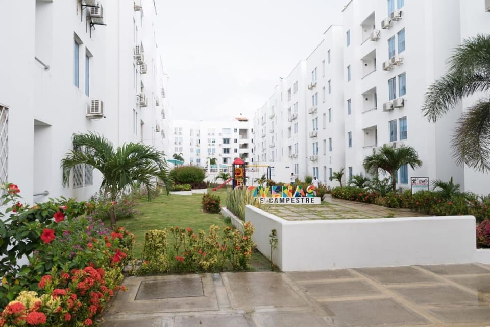 Day, Garden, Garden view