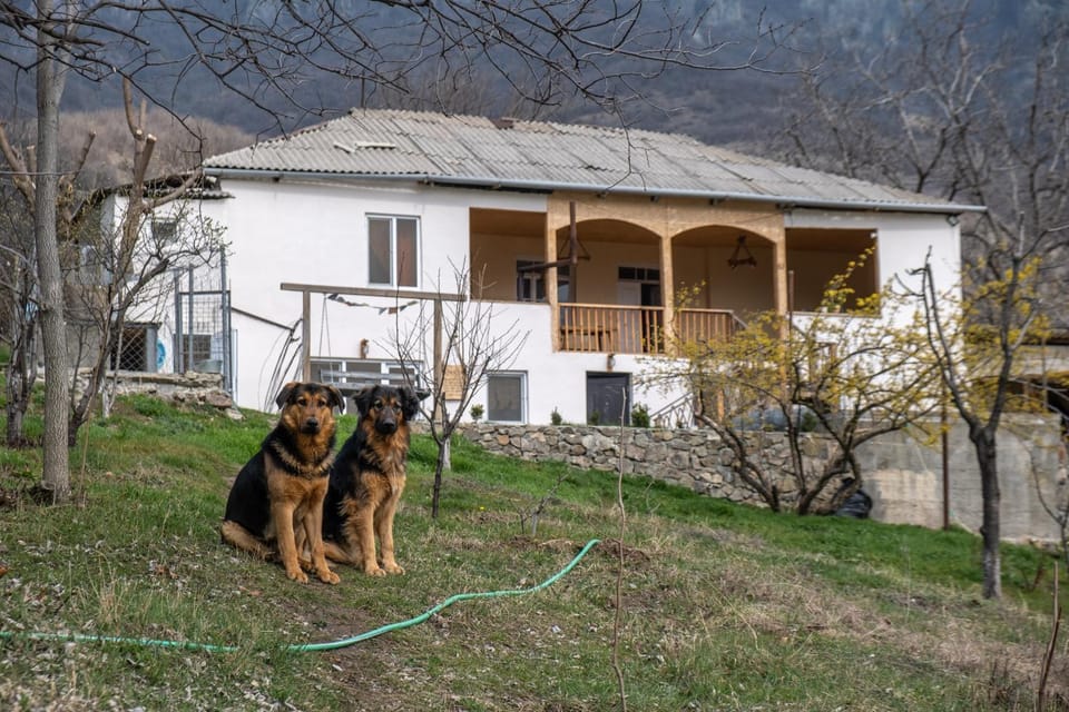 Property building, Facade/entrance, Spring, Balcony/Terrace, Pets