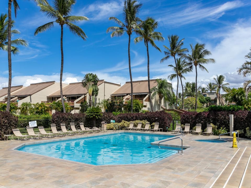 Property building, Garden, Swimming pool