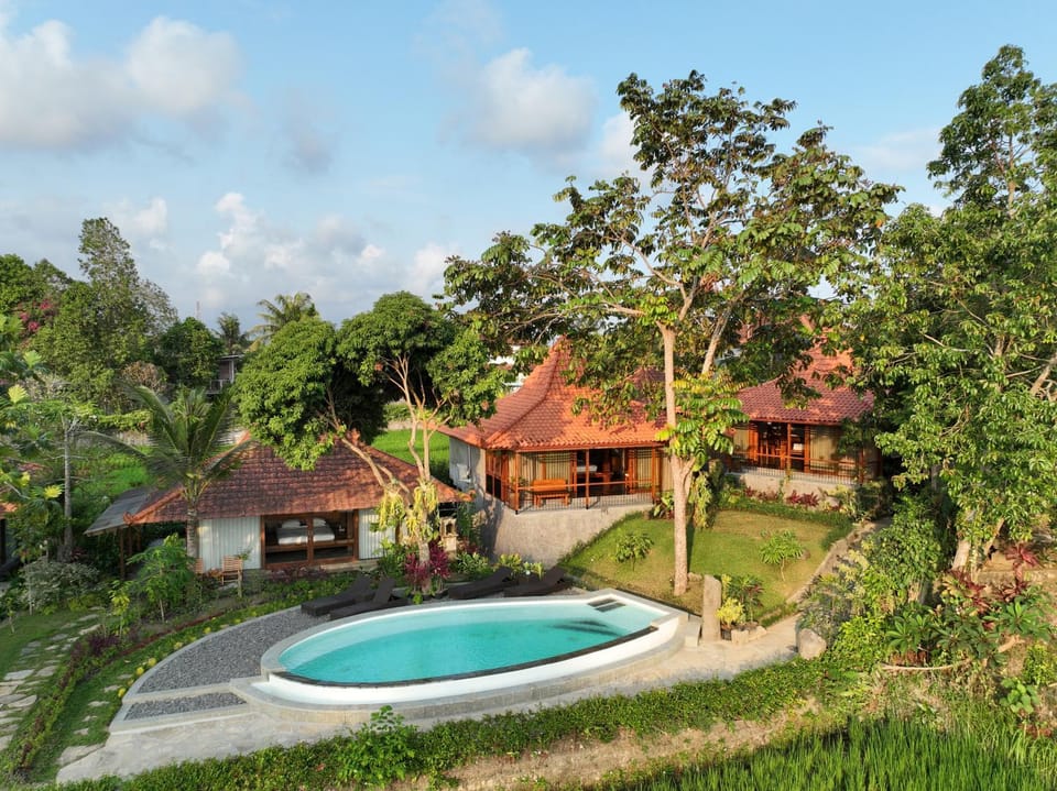 Day, Natural landscape, Garden, Pool view, Swimming pool
