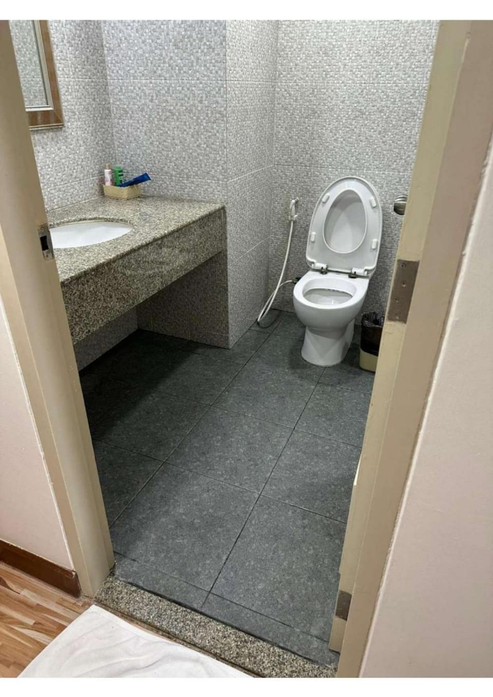 Toilet, Bathroom