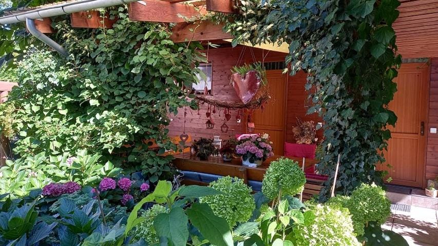Spring, Day, Garden, Garden, Garden view