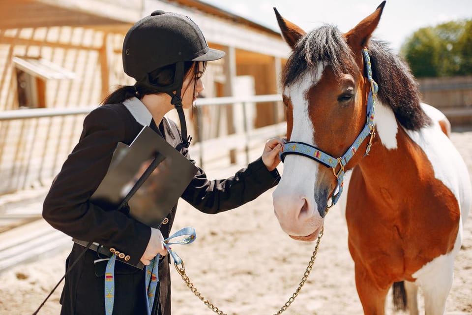 Day, People, Horse-riding, Animals, children, group of guests