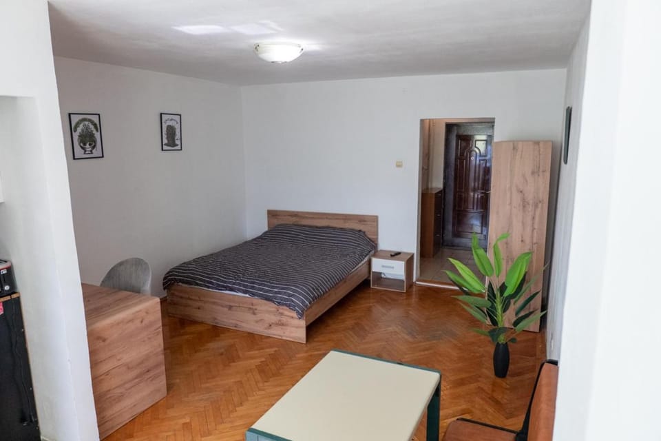 ALMA Guest House Self check in Apartment in Timisoara